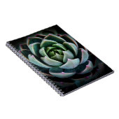 Prachtige, succesvolle Natuur fotografie Notitieboek (Rechterzijde)