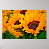 Prachtige Summertime Zonnebloempjes Poster (Voorkant)