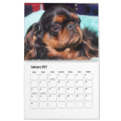 PRACHTIGE SUPERSTER HONDEN KALENDER (Feb 2027)