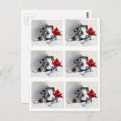 Prachtige  terrier Puppy Boston Briefkaart (Voorkant / Achterkant)
