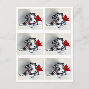 Prachtige  terrier Puppy Boston Briefkaart