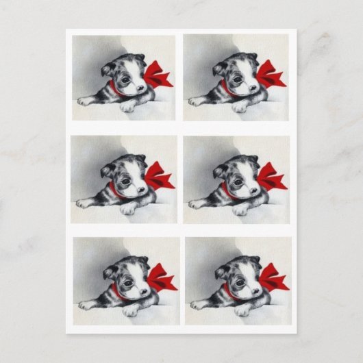 Prachtige  terrier Puppy Boston Briefkaart (Voorkant)