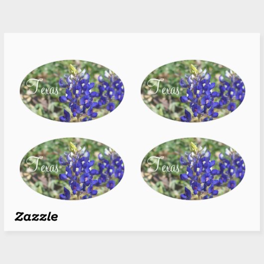 Prachtige Texas Bluebonnet Wildflower Sticker (Vel)