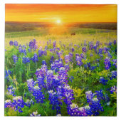prachtige Texas bluebonnets Tegeltje (Voorkant)