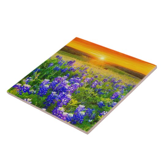 prachtige Texas bluebonnets Tegeltje (Zijkant)