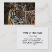 Prachtige Tiger Sleek Wildcat Face Visitekaartje (Voorkant / Achterkant)