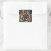Prachtige Tiger Wildcat Face Vierkante Sticker (Tas)