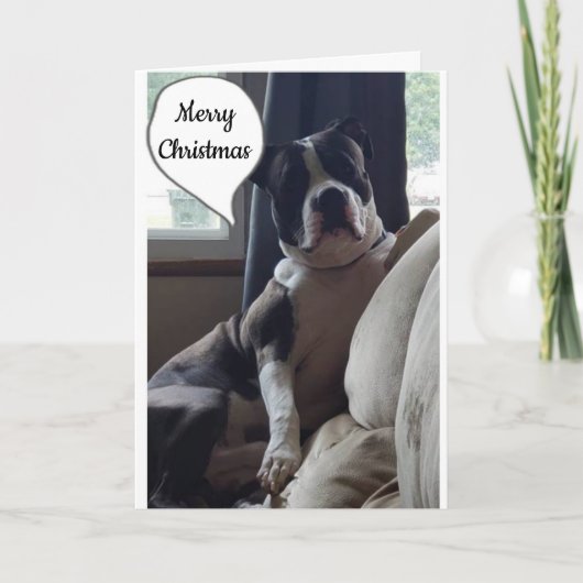 PRACHTIGE TIJD VAN HET JAAR ** VROLIJK KERSTFEEST" FEESTDAGEN KAART (Voorkant)