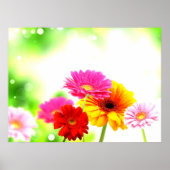 Prachtige tranquil mooie mooie florale omgeving poster (Voorkant)