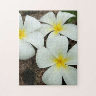 Prachtige tropische bloesems in de Zuid-Pacific Legpuzzel