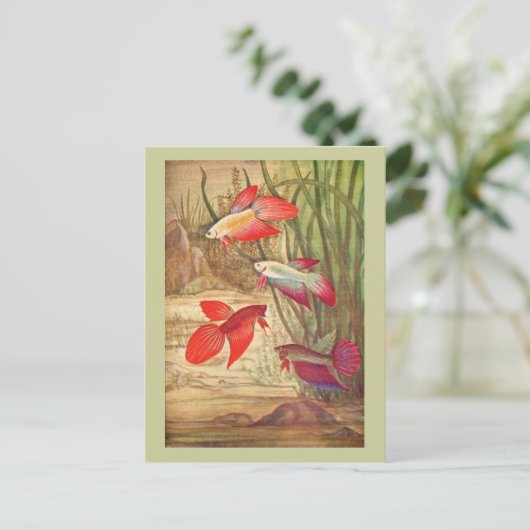 Prachtige tropische vissoorten Briefkaart (Staand voorkant)