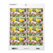 Prachtige Tulpen in de zon Etiket (Full Sheet)