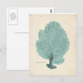 Prachtige Turquoise/Aqua Pacific Zee Fan Briefkaart (Voorkant / Achterkant)