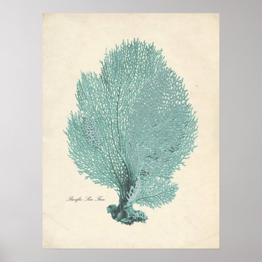 Prachtige Turquoise/Aqua Pacific Zee Fan Poster (Voorkant)