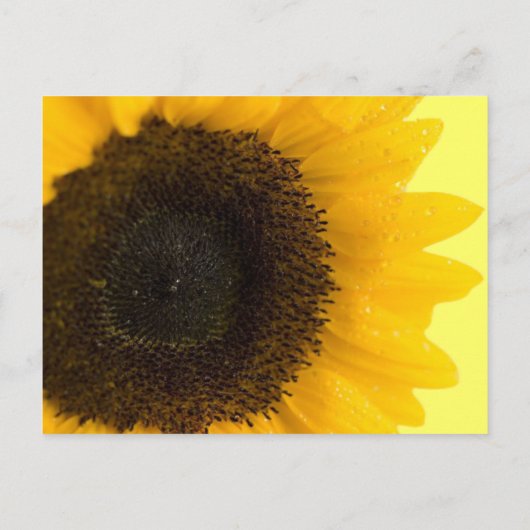 Prachtige uitnodiging voor het uitzenden van een z (Achterkant)