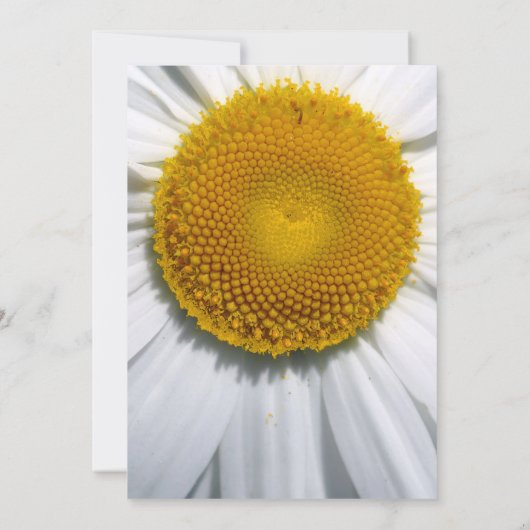 Prachtige uitnodiging voor weduwschap met de legan (Achterkant)