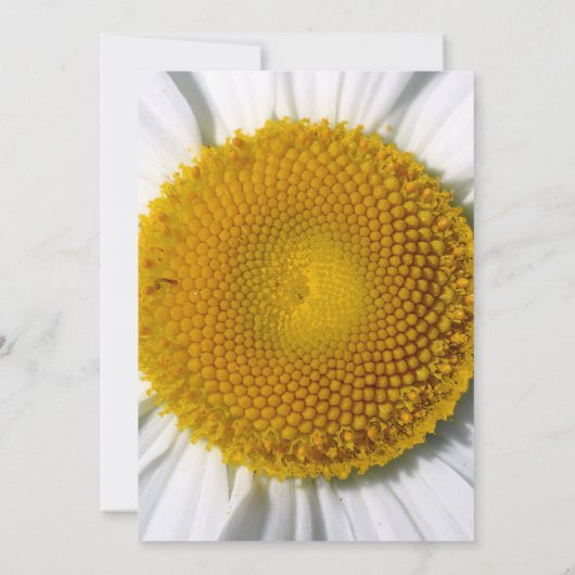 Prachtige uitnodiging voor weduwschap met de legan (Achterkant)