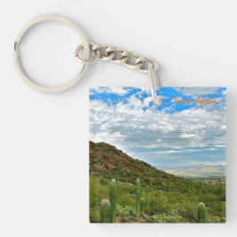 Prachtige uitzichten van Tucson Arizona Sleutelhanger