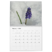 Prachtige Uitzichten voor maandelijkse tuin Kalender (Feb 2026)