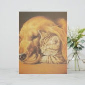 Prachtige verbazingwekkende kat en hond knuffelen  (Staand voorkant)