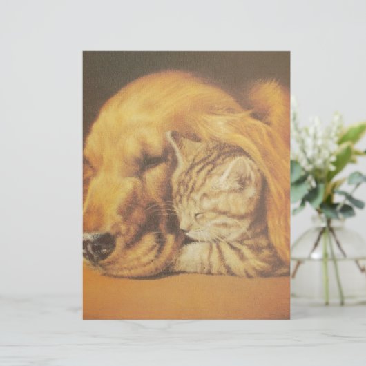 Prachtige verbazingwekkende kat en hond knuffelen  (Staand voorkant)