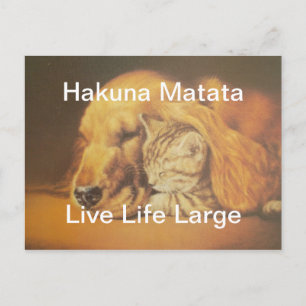 Prachtige verbazingwekkende kat en hond knuffelen  briefkaart