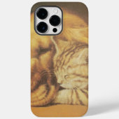 Prachtige verbazingwekkende kat en hond knuffelen  Case-Mate iPhone case (Achterkant)