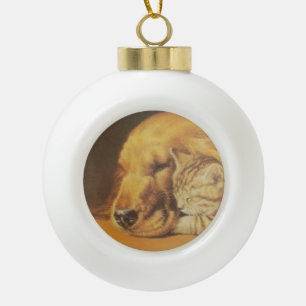 Prachtige verbazingwekkende kat en hond knuffelen  keramische bal ornament