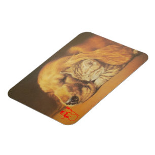 Prachtige verbazingwekkende kat en hond knuffelen  magneet