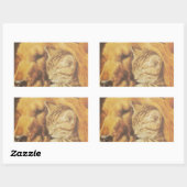 Prachtige verbazingwekkende kat en hond knuffelen  rechthoekige sticker (Vel)