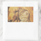 Prachtige verbazingwekkende kat en hond knuffelen  rechthoekige sticker (Tas)
