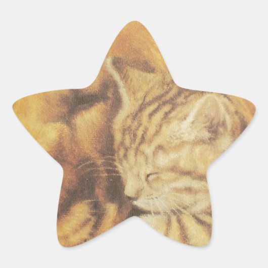 Prachtige verbazingwekkende kat en hond knuffelen  ster sticker (Voorkant)