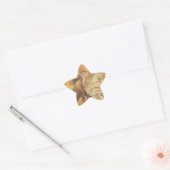 Prachtige verbazingwekkende kat en hond knuffelen  ster sticker (Envelop)