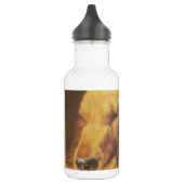 Prachtige verbazingwekkende kat en hond knuffelen  waterfles  (Links)