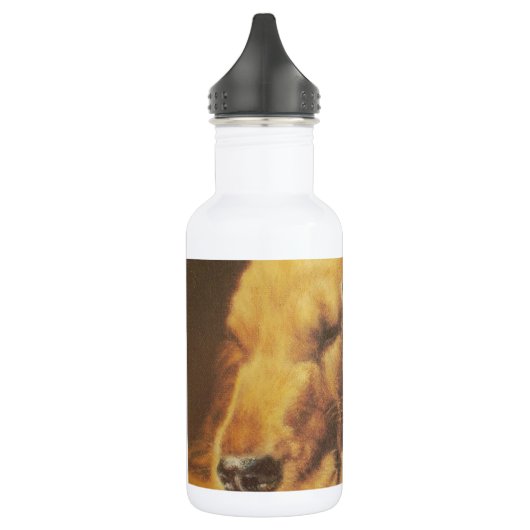 Prachtige verbazingwekkende kat en hond knuffelen waterfles (Links)