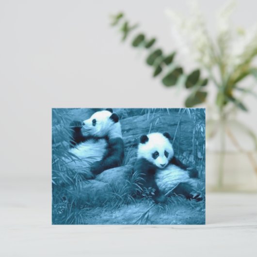 Prachtige verbazingwekkende Panda's Briefkaart (Staand voorkant)