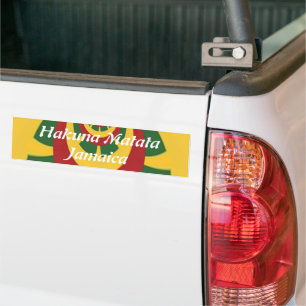 Prachtige Verbazingwekkende Rasta Kleuren Art Prin Bumpersticker