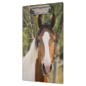 Prachtige verfpaarden klembord (Links)