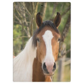 Prachtige verfpaarden klembord (Achterkant)