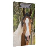 Prachtige verfpaarden klembord (Rechts)