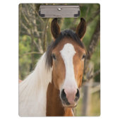 Prachtige verfpaarden klembord (Voorkant)