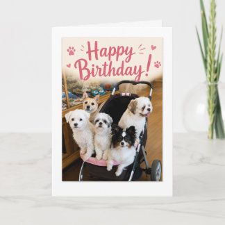 Prachtige verjaardagskaart voor vijf honden kaart