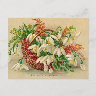 Prachtige Victoriaans Floral Basket of Snowdrops Briefkaart
