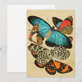 Prachtige Vintage Garden Butterflies Kaart (Voorkant / Achterkant)