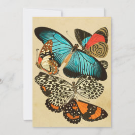 Prachtige Vintage Garden Butterflies Kaart