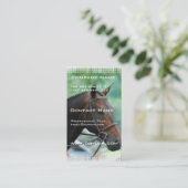 Prachtige Visitekaartje van het Warmblood Horse (Staand voorkant)