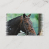 Prachtige Visitekaartje van het Warmblood Horse (Achterkant)