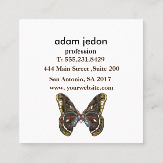 Prachtige vlinder kunst tekening vierkante visitekaartje (Achterkant)