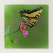 Prachtige vlinder op Zinnia Legpuzzel (Horizontaal)