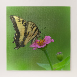 Prachtige vlinder op Zinnia Legpuzzel